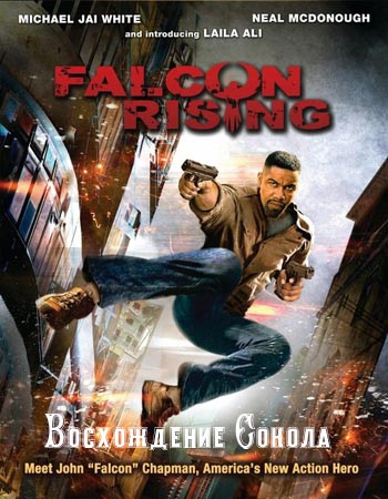 Восхождение Сокола (2014)