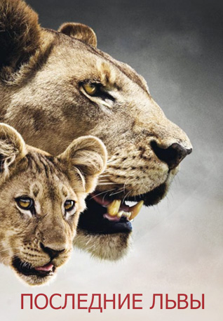 Последние львы (2011)